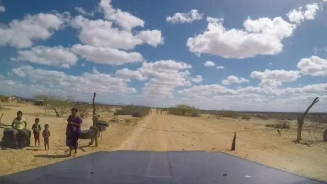 Связана ли Сечура с южноамериканскими пустынями?