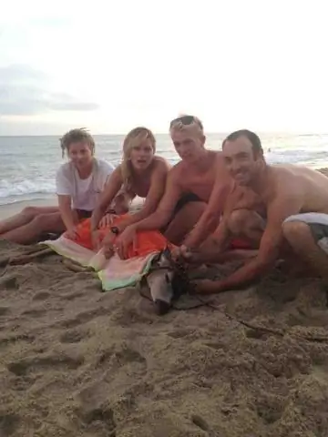 Безопасно ли купаться в Лагуна-Бич?