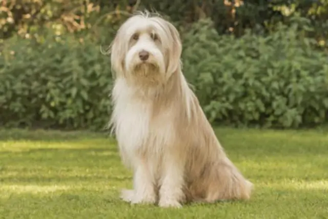 Что такое плата за бобтейл?