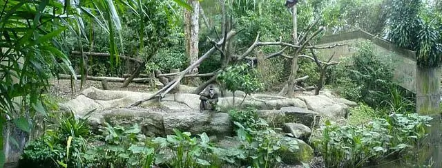 Чоа Чу Канг - северо-запад или юго-запад?