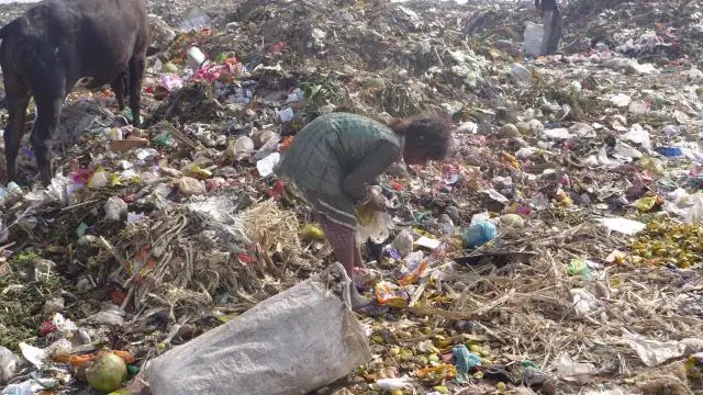 Индия больше Аляски?