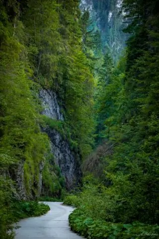 Какие две горные цепи протянулись вдоль Северной и Южной Америки?