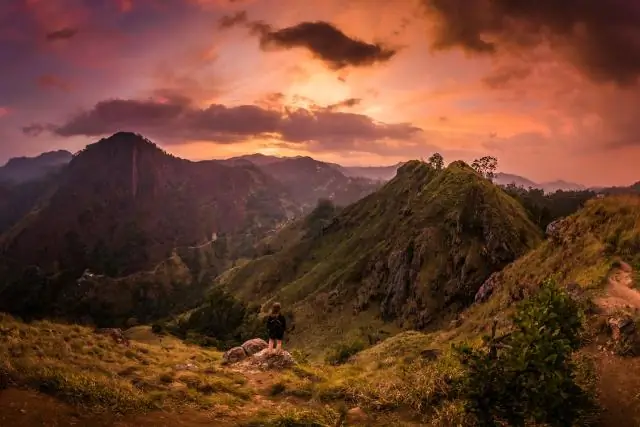 Каков ландшафт Техаса?