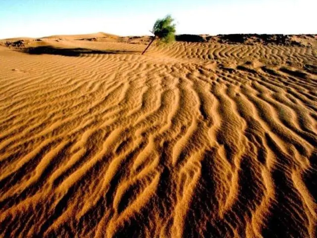 Какая пустыня находится на севере Китая?