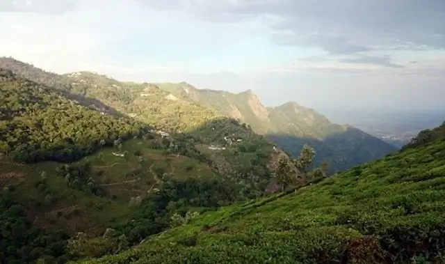 Котагири лучше Ути?