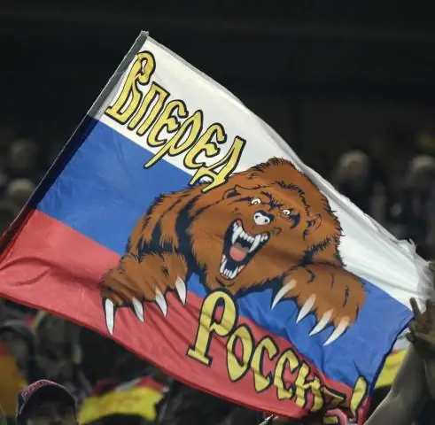 Почему медведь - символ России?