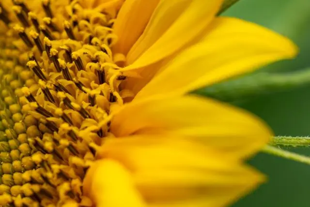 Как не допустить попадания тепла в окна автофургона?