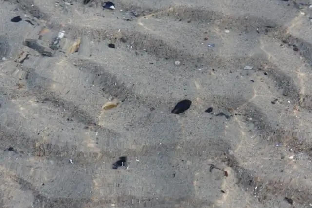 Что на пляже под песком?