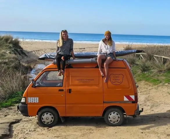 Куда мне обратиться за осенними цветами?