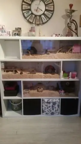 Как собрать вещи в доме?