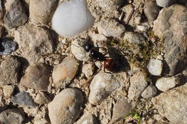 Два двухместных матраса такого же размера, как большая двуспальная кровать?