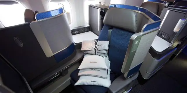 Считается ли подушка ручной кладью в United?