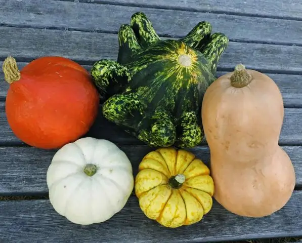 Как высушить тыкву?