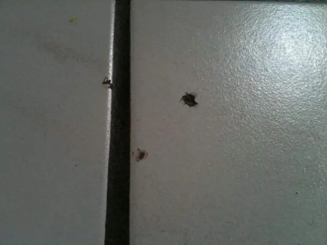 Чем набивать подушки?