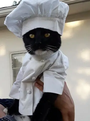 Есть ли ураганы в Хилтон-Хед?