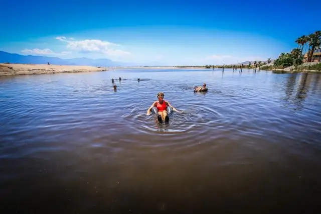 Вы умеете плавать в Солтон-Си?