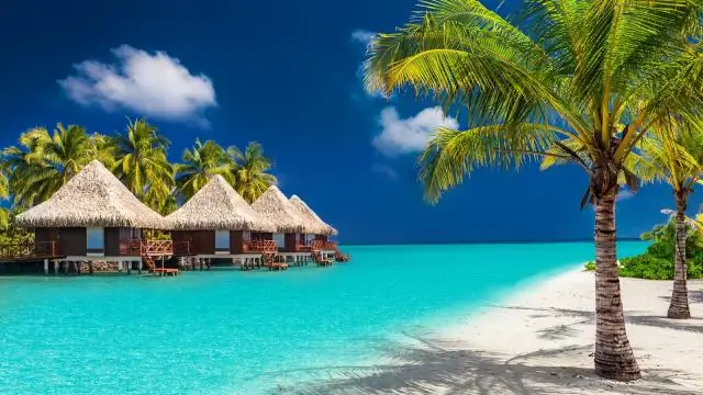 Что я могу привезти в США из Индии?