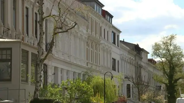 Что делает Окленд уникальным?