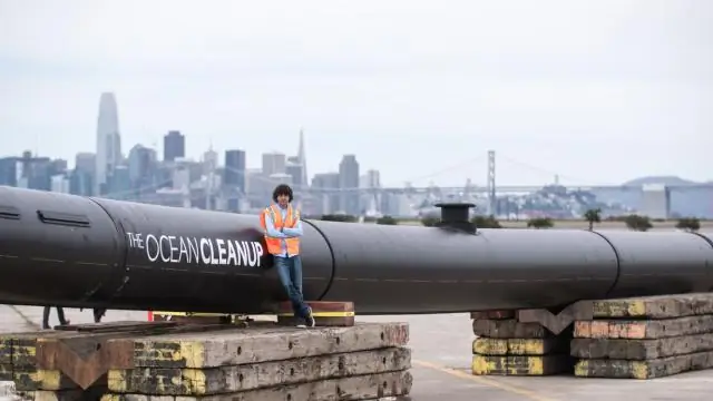 Насколько солен залив Сан-Франциско?