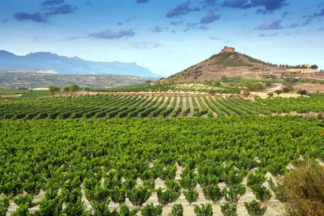 В каком штате лучше всего осенняя листва?