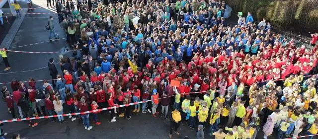 Сколько там колоссальных голов?