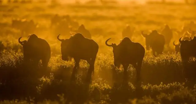 Сколько стоит парковка на Эль-Черрито-дель-Норте?