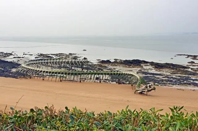 Какая погода на Шри-Ланке в сентябре?