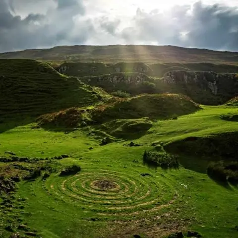 Как мне узнать, есть ли у меня дело в полиции в ОАЭ?