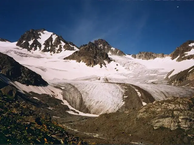 Как императорские пингвины влияют на изменение климата?