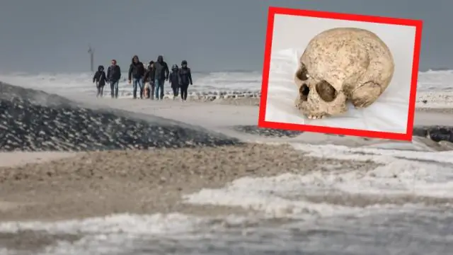 Кому принадлежит Элис Бич?