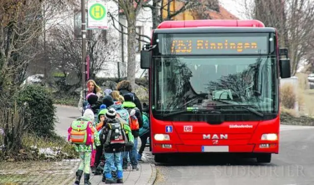 Насколько поздно ходят автобусы Таму?