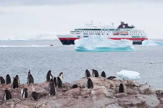 Могу ли я самостоятельно поехать в Антарктиду?