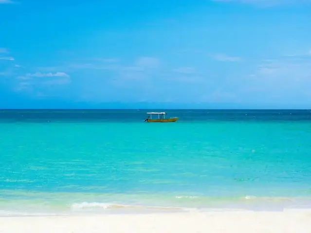 Сможете ли вы нырять в Порт-Ройял Ямайка?