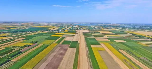 Воеводина - это страна?