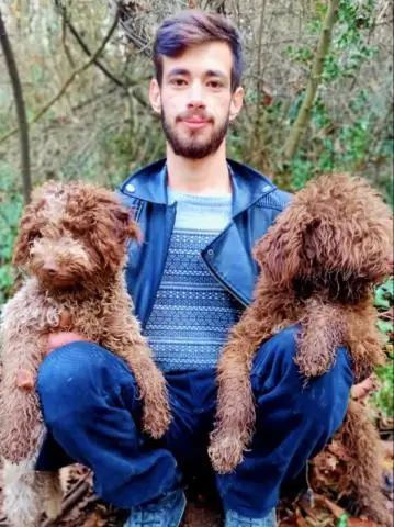 Как растут креп-мирты с черным бриллиантом?