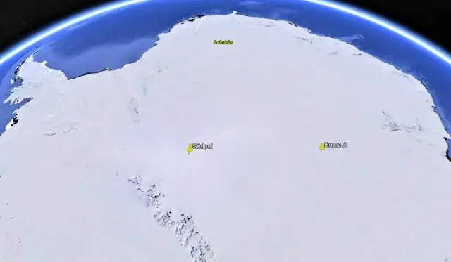 Насколько высока арктическая ива?