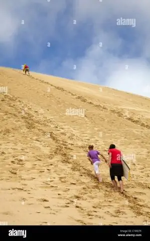 Где я могу пойти в песчаный даннинг?