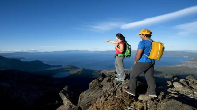 Дружелюбно ли собака на озере Тахо?