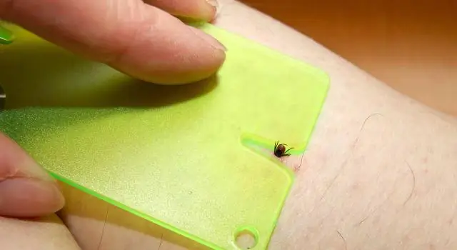 Как выглядит универсальный нож?