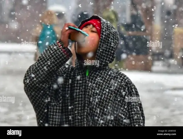 Есть ли в Сринагаре снег?