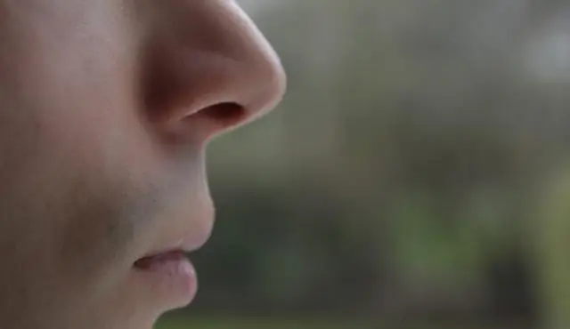 Что вам нужно, путешествуя за границу?