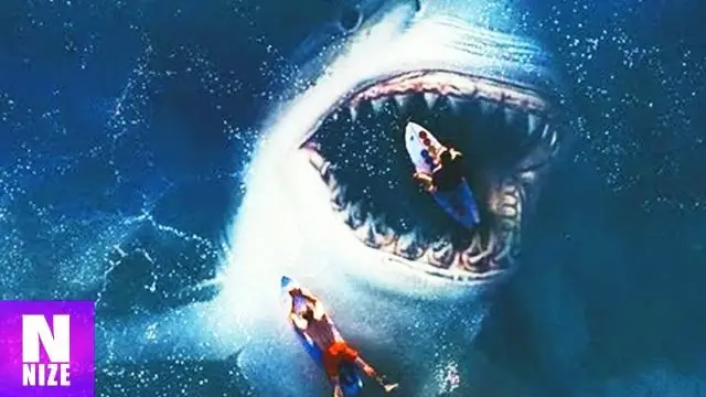 Бали Хай настоящий?