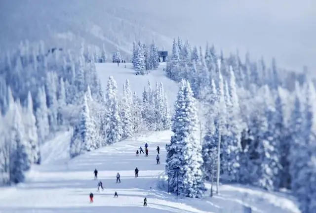 В каком месяце лучше всего посетить Тасманию?