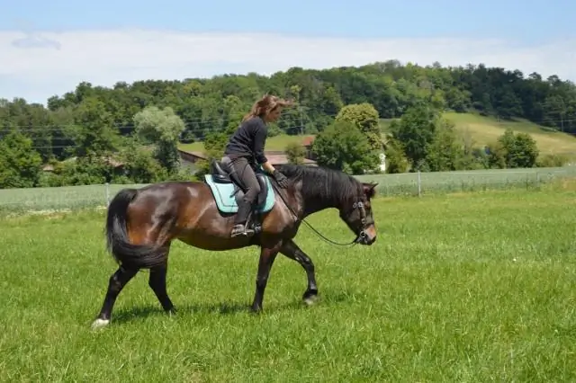 Кто создал колеса в движении?