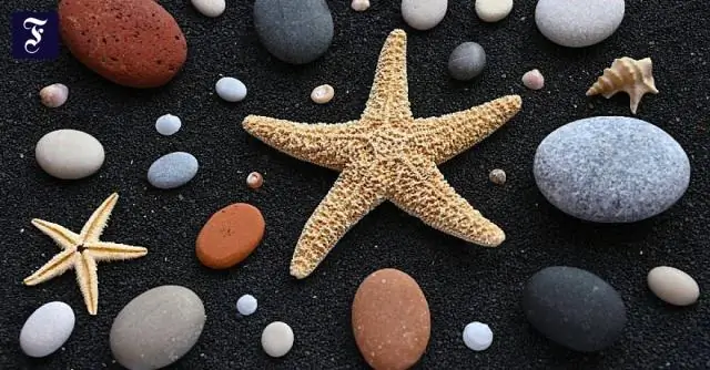 Почему на некоторых пляжах вместо песка галька?