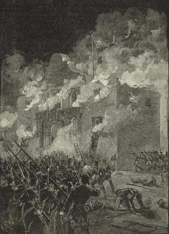 Когда Мексика позволила американским поселенцам въехать в Техас?