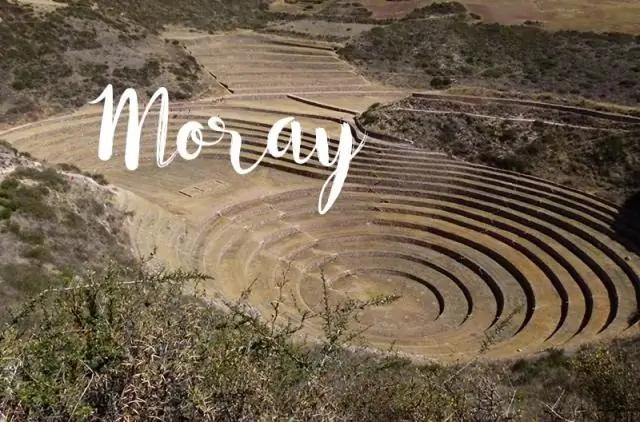 Было ли у инков сельское хозяйство?