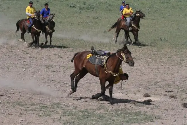 Какие предметы обменивались на Шелковом пути?