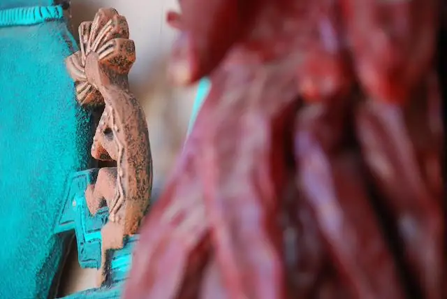 За что боролся Стивен Остин?