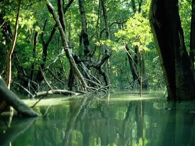 Какой водоем образует береговую линию с Нигерией?